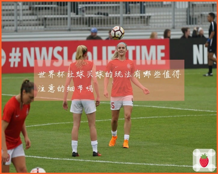 世界杯让球买球的玩法有哪些值得注意的细节吗