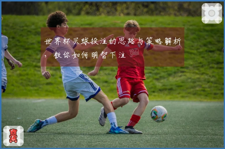 世界杯买球投注的思路与策略解析，教你如何明智下注