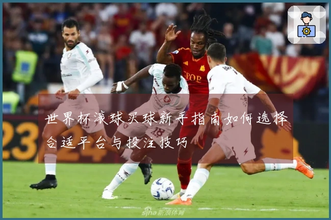 世界杯滚球买球新手指南如何选择合适平台与投注技巧