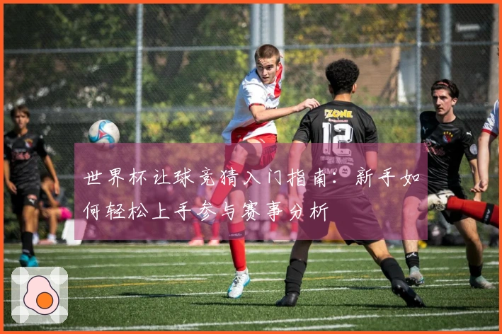 世界杯让球竞猜入门指南：新手如何轻松上手参与赛事分析