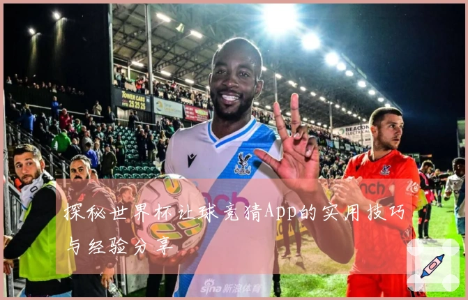 探秘世界杯让球竞猜App的实用技巧与经验分享