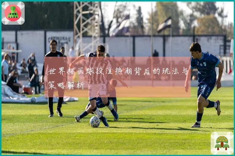 世界杯买球投注热潮背后的玩法与策略解析