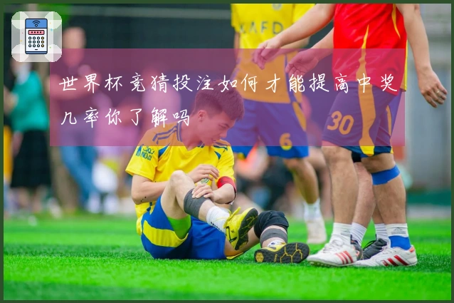 世界杯竞猜投注如何才能提高中奖几率你了解吗