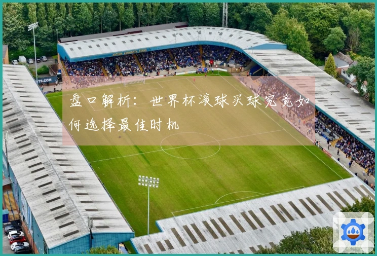 盘口解析：世界杯滚球买球究竟如何选择最佳时机