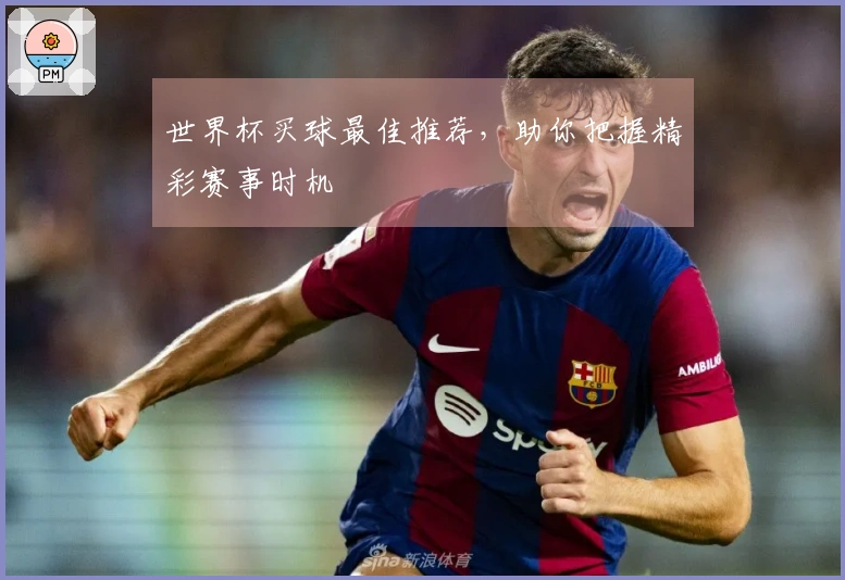 世界杯买球最佳推荐，助你把握精彩赛事时机
