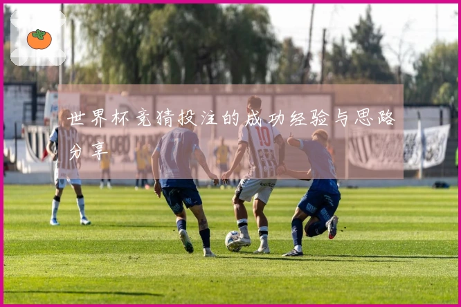 世界杯竞猜投注的成功经验与思路分享