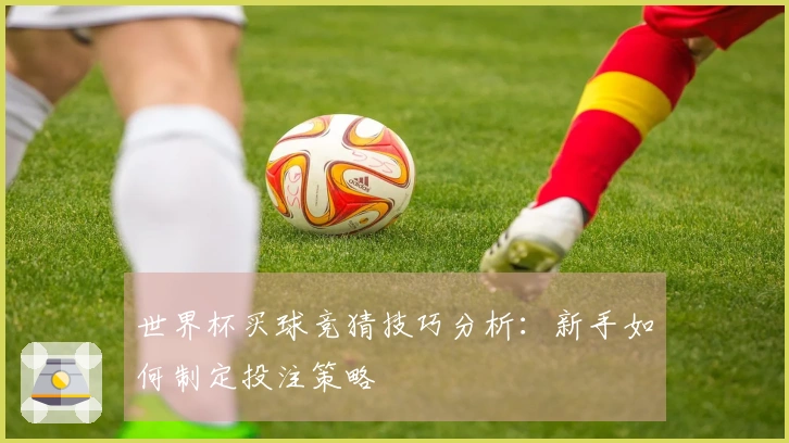 世界杯买球竞猜技巧分析：新手如何制定投注策略