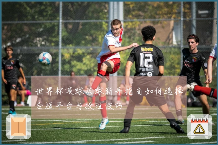 世界杯滚球买球新手指南如何选择合适平台与投注技巧